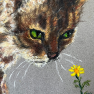 Taz Mamie and the flower