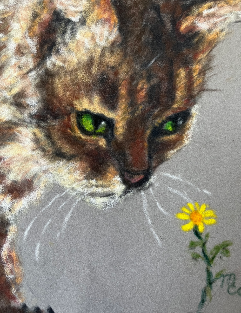 Taz-Mamie-the-Flower-scaled-e1778101608589 (1)